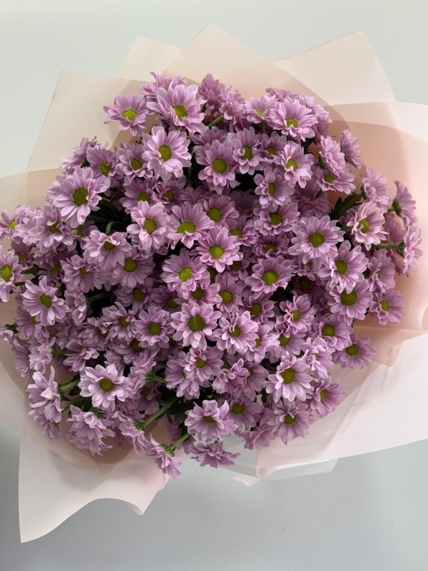 Lila Krizantem Papatya Buketi